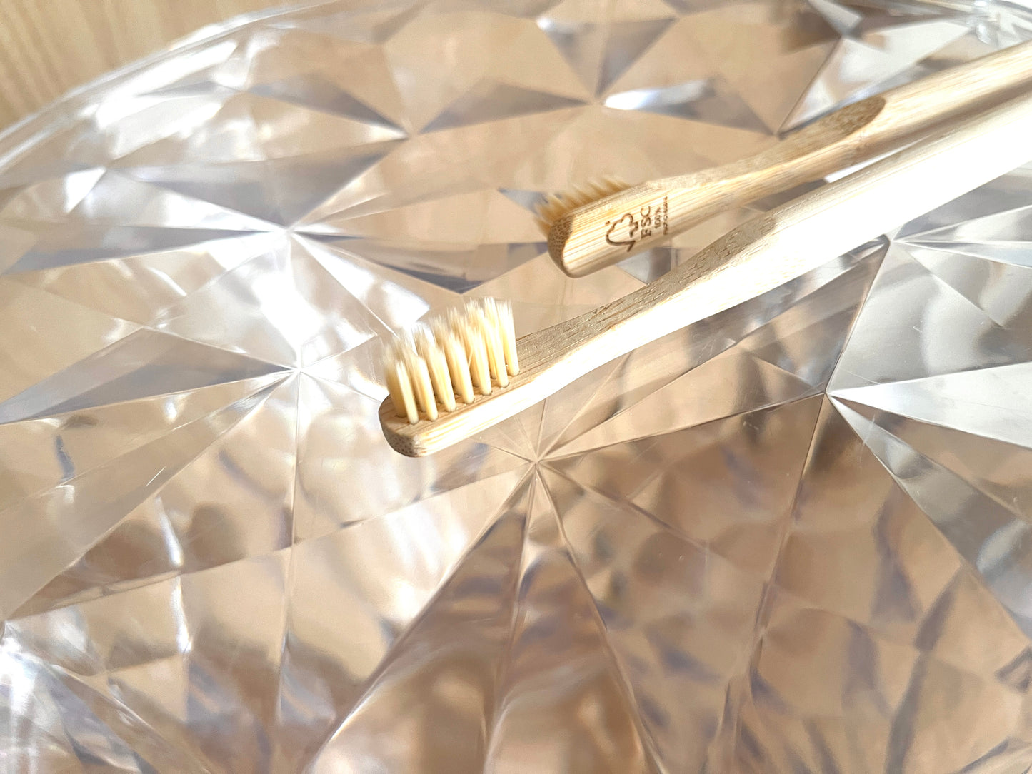 【限定オファー】iTubo ESSENTIALS