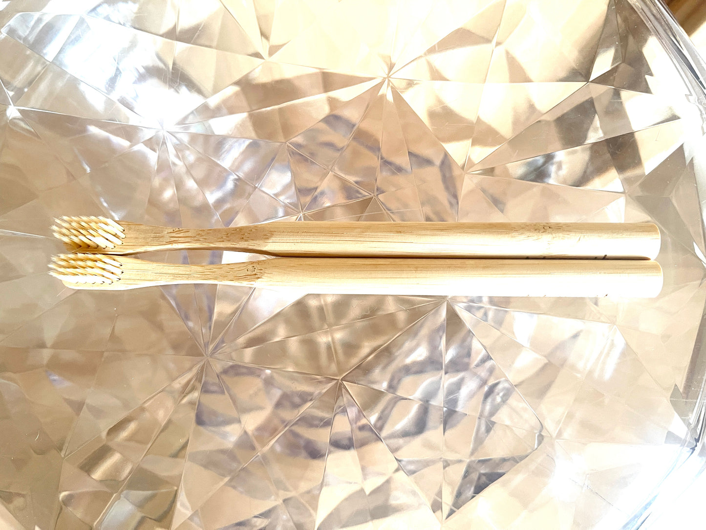 【限定オファー】iTubo ESSENTIALS