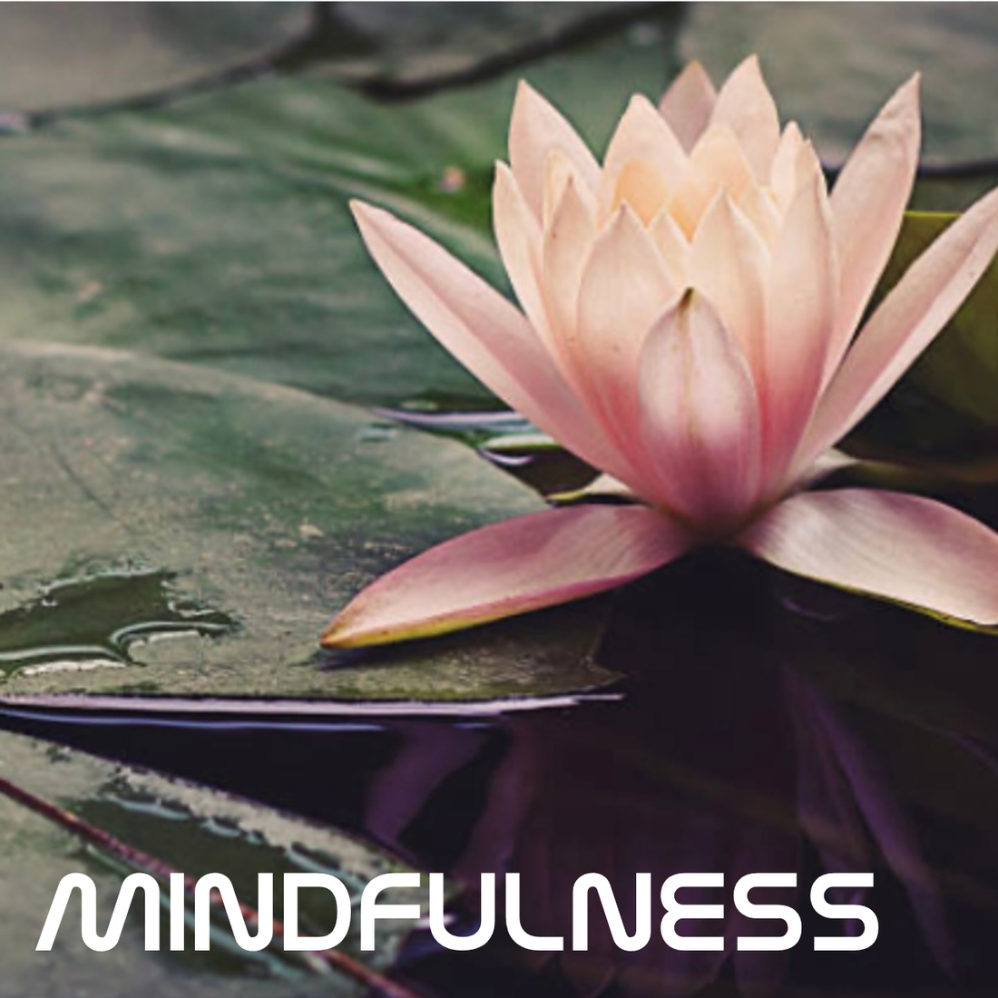 マインドフルネス（mindfulness）とは