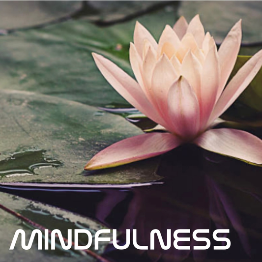マインドフルネス（mindfulness）とは